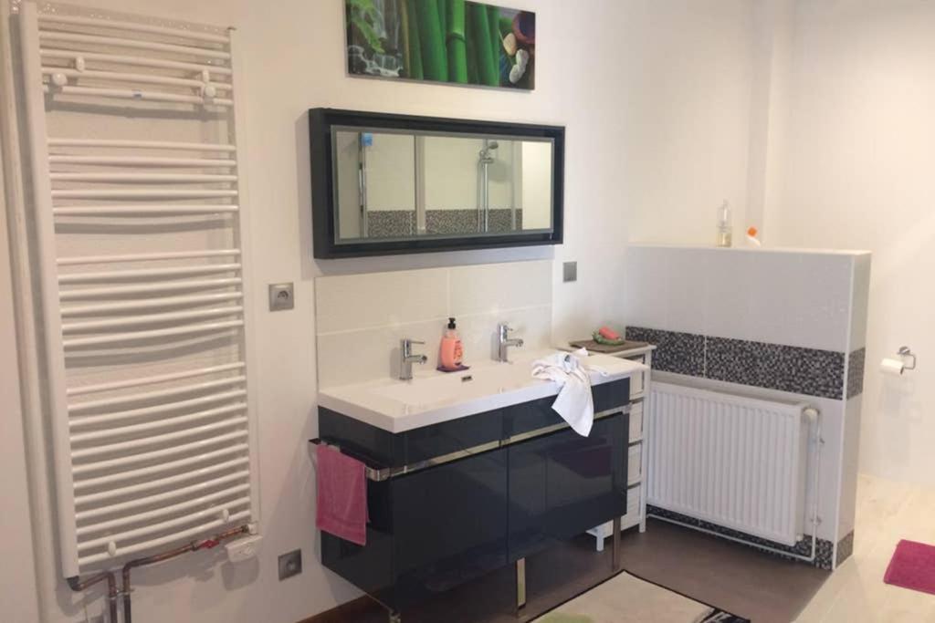 Appartement Tout Confort Centre Baccarat Екстер'єр фото